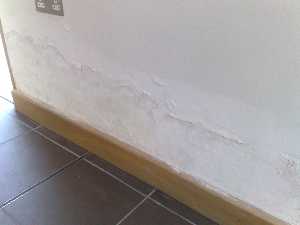 Rising damp